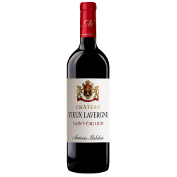 St Nicolas de Bourgueil - Rouge 2022, Château Le Moulin Neuf