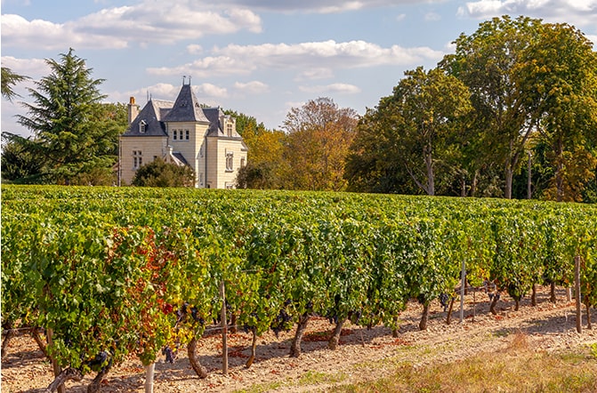 Chateau Moulin Neuf